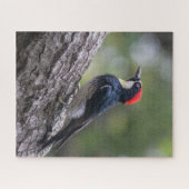 Eichelspecht-Puzzle | Waldvogel-Kunst Puzzle (Horizontal)