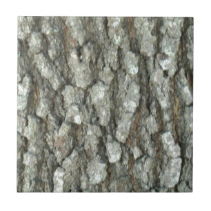 Eichen-Baum-Barken-wirkliche hölzerne Fliese