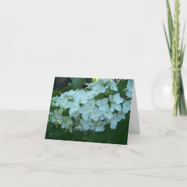 Eichen-Blatthydrangea-Blüten-Gruß-Karte Karte