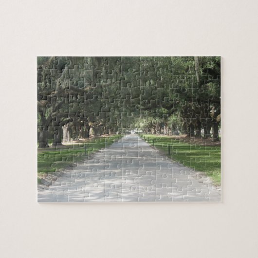 Eichen-Gasse bei Boone Hall, Charleston Puzzle (Horizontal)