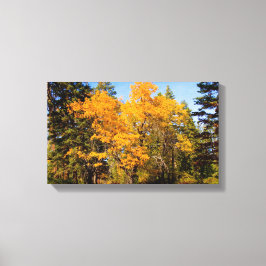 Eichen im Herbst Leinwanddruck