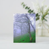 Eichen im Nebel Postkarte (Stehend Vorderseite)