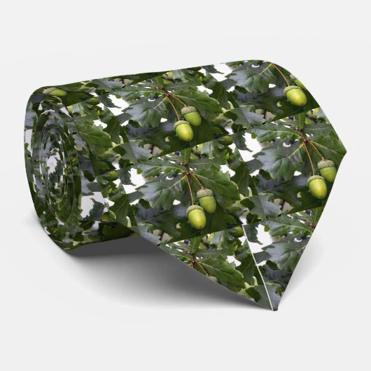 Eichen-Krawatte Krawatte (Gerollt)