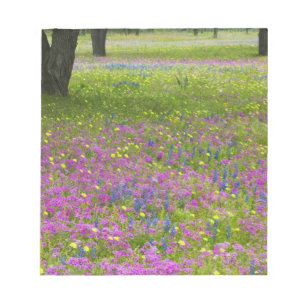 Eichen mit Phloxfeld, Blaue Hauben Notizblock