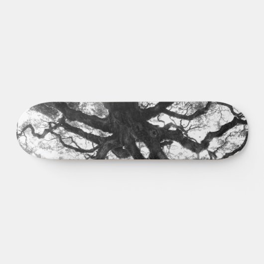 Eichen-Skateboard Skateboard (Horizontal)
