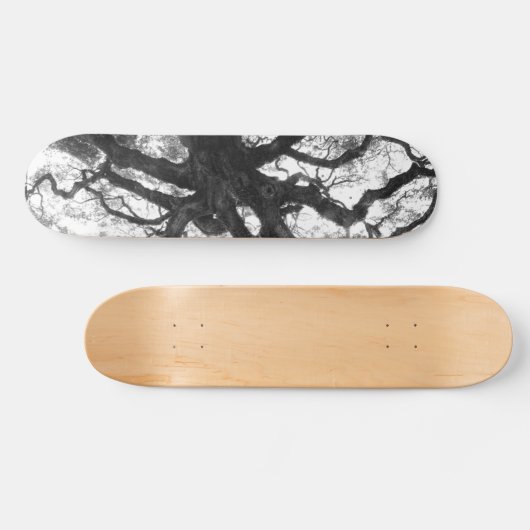 Eichen-Skateboard Skateboard (Horizontal)