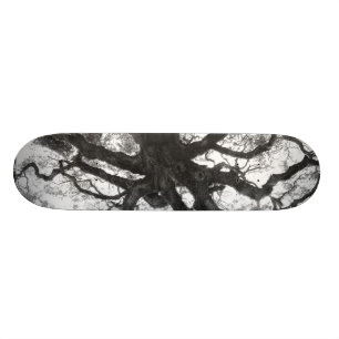 Eichen-Skateboard Skateboard