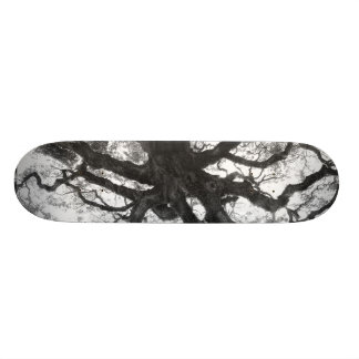 Eichen-Skateboard Skateboard