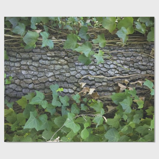 Eichen-und Efeu-Packpapier Geschenkpapier (Flach)