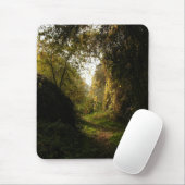 Eichen-Waldungs-Morgen-Licht Mousepad (Mit Mouse)