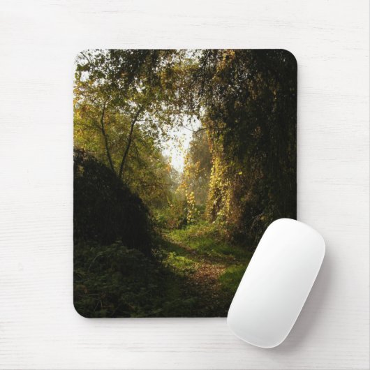 Eichen-Waldungs-Morgen-Licht Mousepad (Mit Mouse)