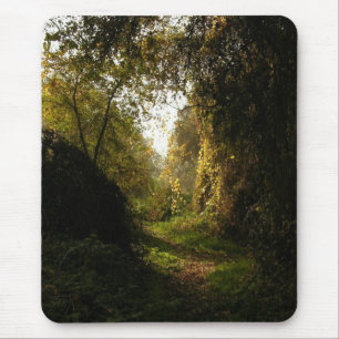 Eichen-Waldungs-Morgen-Licht Mousepad