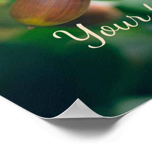 Eichenäste mit Eicheln Poster (Ecke)