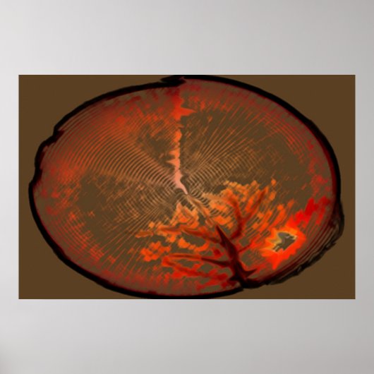 Eichenbaum bei Sonnenaufgang Poster (Vorne)