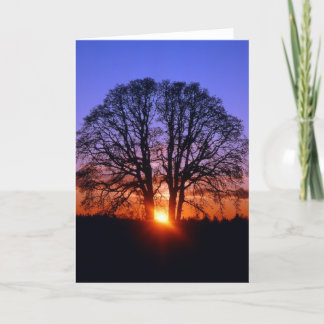 Eichenbaum bei Sonnenuntergang Karte