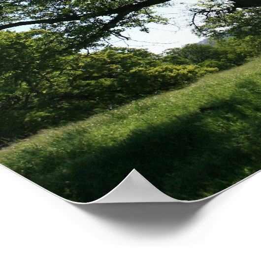 Eichenbaum, Frühlingswiese Poster (Ecke)