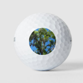 Eichenbaum gegen den blauen Himmel Golfball