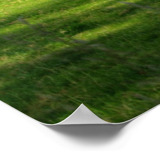 Eichenbaum Grün Sommer schöne Landschaft Poster (Ecke)