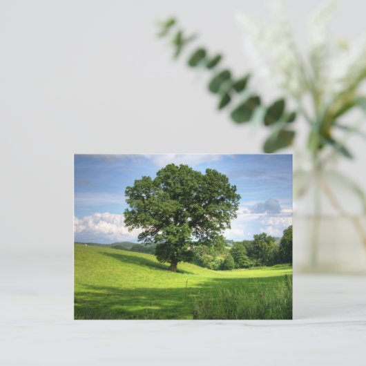 Eichenbaum Grün Sommer schöne Landschaft Postkarte (Stehend Vorderseite)