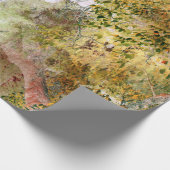 Eichenbaum im Herbst... Geschenkpapier (Ecke)