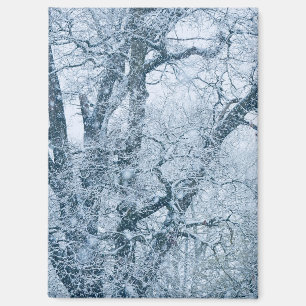 Eichenbaum im Schnee Magnet