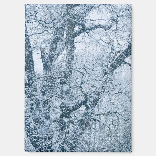 Eichenbaum im Schnee Magnet (Vorderseite)