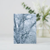Eichenbaum im Schnee Postkarte (Stehend Vorderseite)