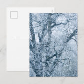 Eichenbaum im Schnee Postkarte (Vorne/Hinten)
