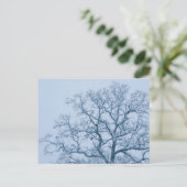 Eichenbaum im Schnee Postkarte (Stehend Vorderseite)