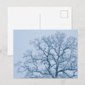Eichenbaum im Schnee Postkarte (Vorne/Hinten)