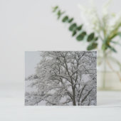 Eichenbaum im Schnee Postkarte (Stehend Vorderseite)