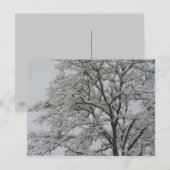 Eichenbaum im Schnee Postkarte (Vorne/Hinten)