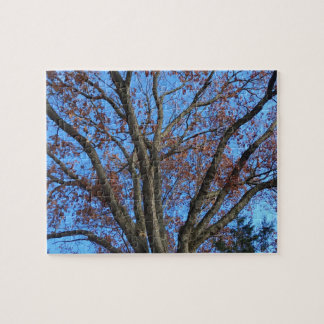 Eichenbaum in einem blauen Himmel im Herbst - Puzzle