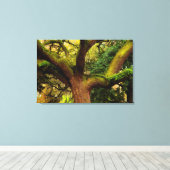 Eichenbaum Leinwanddruck (Insitu (Holzboden))