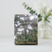 Eichenbaum mit Moschus in Daphne, Alabama Postkarte (Stehend Vorderseite)