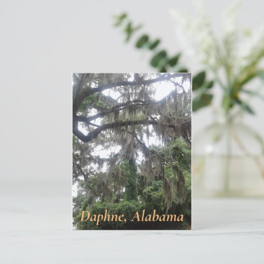 Eichenbaum mit Moschus in Daphne, Alabama Postkarte (Stehend Vorderseite)