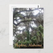 Eichenbaum mit Moschus in Daphne, Alabama Postkarte (Vorne/Hinten)