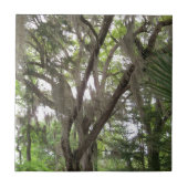 Eichenbaum mit spanischem Moos in den Ästen Fliese (Vorderseite)