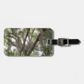 Eichenbaum mit spanischem Moos in den Ästen Gepäckanhänger (Vorderseite horizontal)