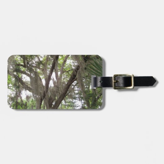 Eichenbaum mit spanischem Moos in den Ästen Gepäckanhänger (Vorderseite horizontal)