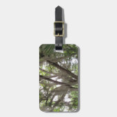 Eichenbaum mit spanischem Moos in den Ästen Gepäckanhänger (Vorderseite vertikal)