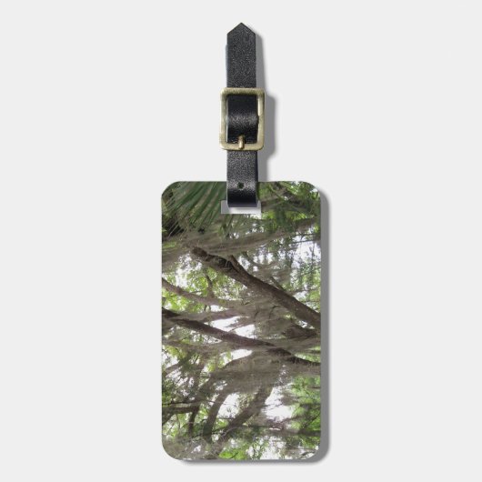 Eichenbaum mit spanischem Moos in den Ästen Gepäckanhänger (Vorderseite vertikal)