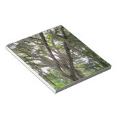 Eichenbaum mit spanischem Moos in den Ästen Notizblock (angewinkelt)