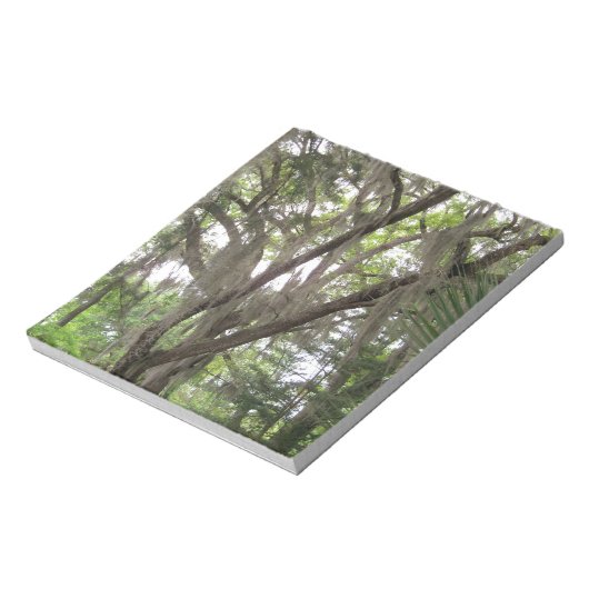 Eichenbaum mit spanischem Moos in den Ästen Notizblock (Rotiert)