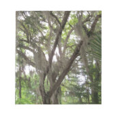 Eichenbaum mit spanischem Moos in den Ästen Notizblock (Vorderseite)