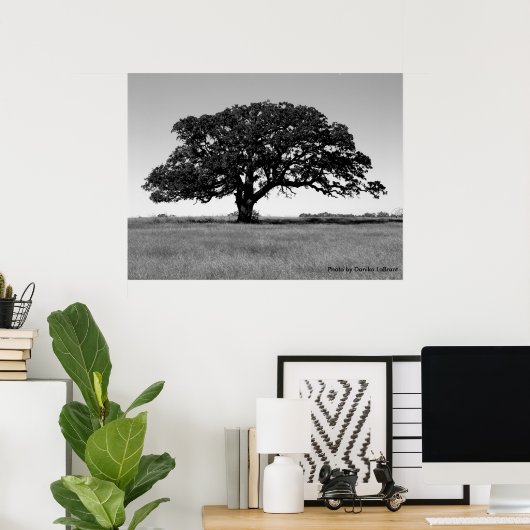 Eichenbaum Poster (Heimbüro)