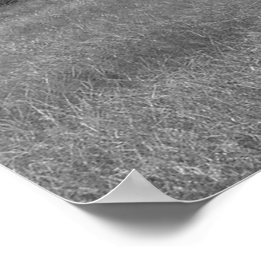 Eichenbaum Poster (Ecke)