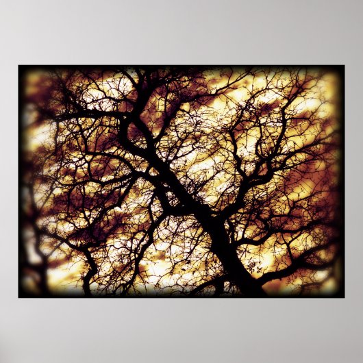 Eichenbaum Poster (Vorne)