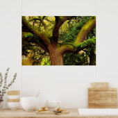 Eichenbaum Poster (Küche)