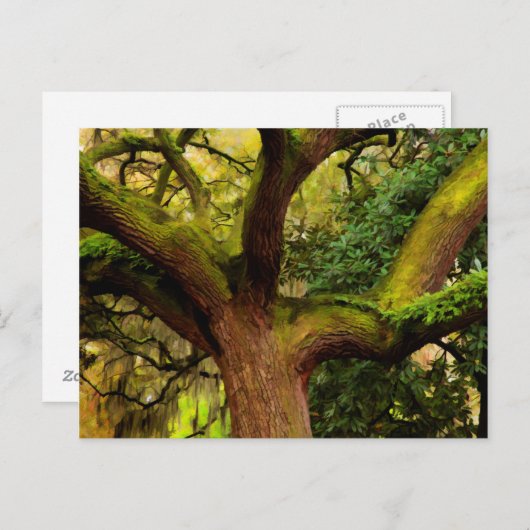 Eichenbaum Postkarte (Vorne/Hinten)